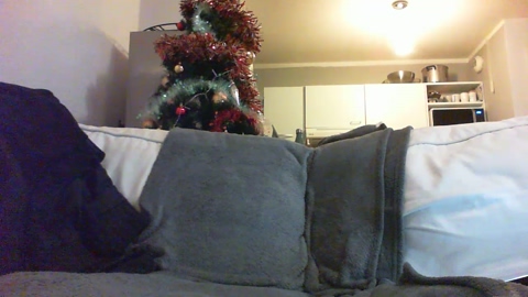 ssssssshom  04-12-2022 Recorded Video dirty