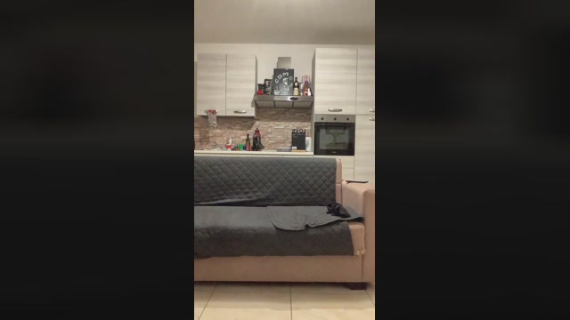 IamCDM4  05-12-2022 Recorded Video suckcock