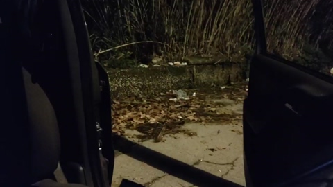 Paquitobaby  05-12-2022 Recorded Video XXX