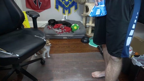 sydaffect  05-12-2022 video naked