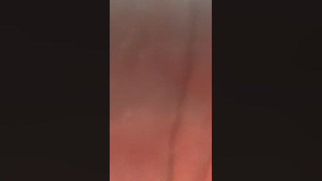 Safadosigilo69  07-12-2022 Recorded Video lick