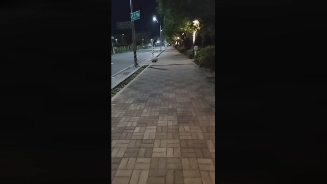 7PuPu  08-12-2022 Recorded Video fuckass