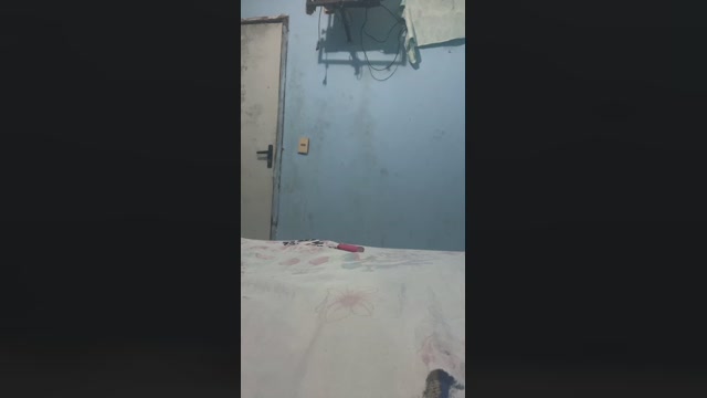 CracudoSubPig  08-12-2022 Recorded Video bicurious