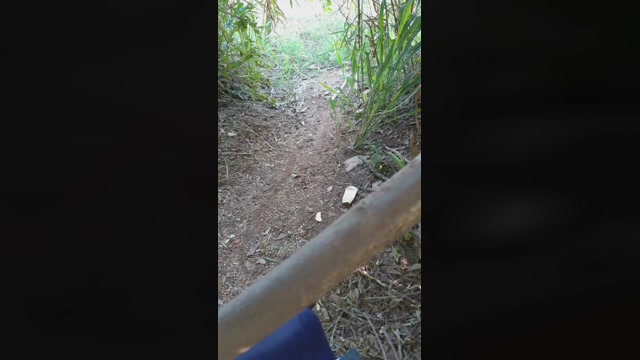 Synbaherrera  08-12-2022 Recorded Video bigtoys