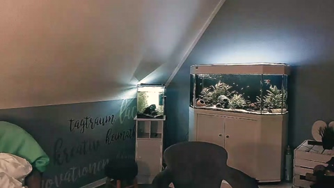 ronhill13  08-12-2022 Recorded Video wank