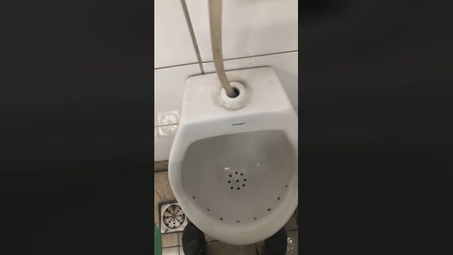 saulodaniel