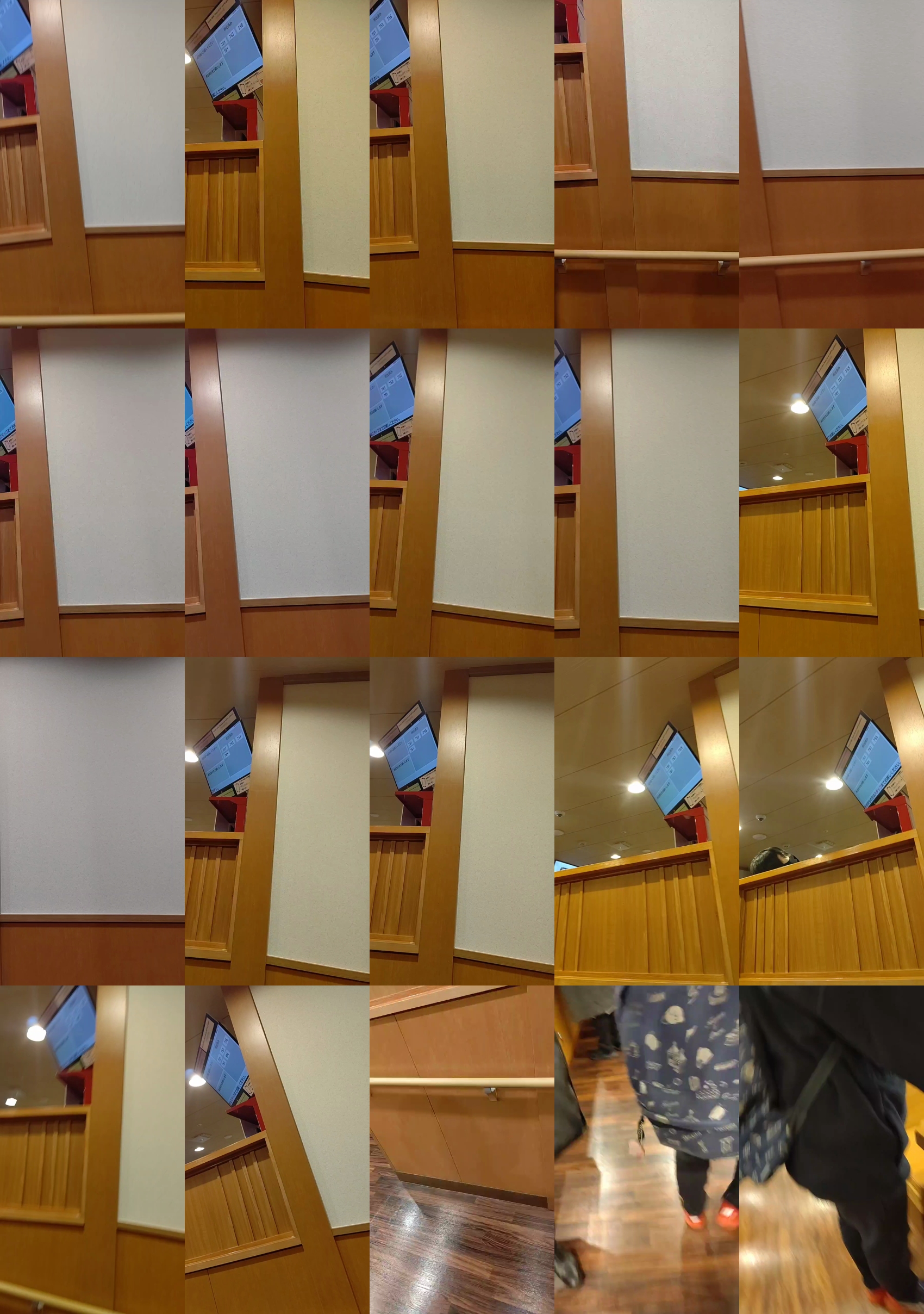 tokyo1130021kaz  09-12-2022 Recorded Video bigload