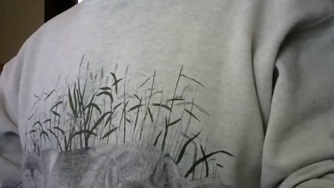 il_undercover  11-12-2022 video hardcock