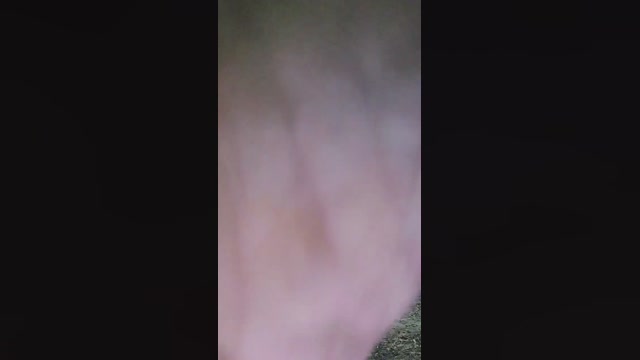 jaja215  11-12-2022 Recorded Video beautiful