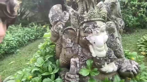 jungleliving333  10-12-2022 video playtime