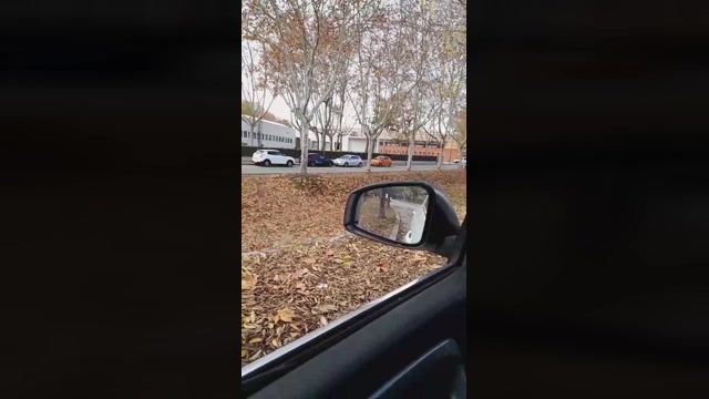 Bcnees  12-12-2022 Recorded Video bigballs