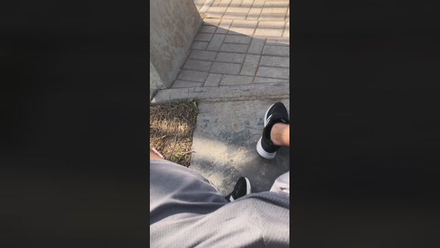 Dapehur  11-12-2022 Recorded Video analtoy