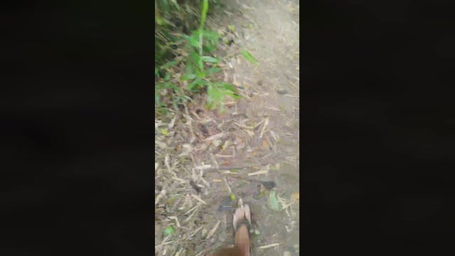 ativofln  12-12-2022 Recorded Video amateur