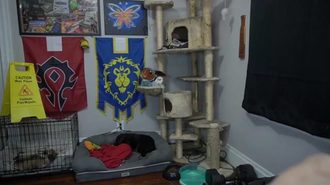 sydaffect  12-12-2022 video Porn