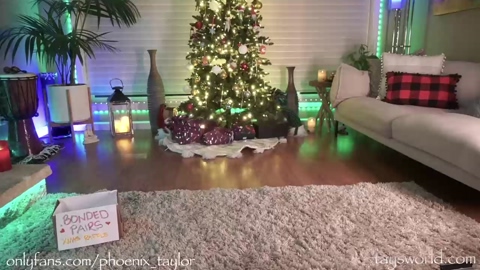 phoenix_taylor 13-12-2022 tits 