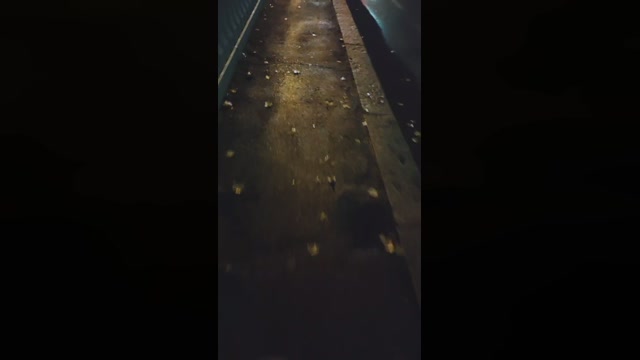 JackFarfallino  14-12-2022 Recorded Video strip