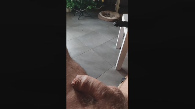 Looper72  16-12-2022 Recorded Video hardcore