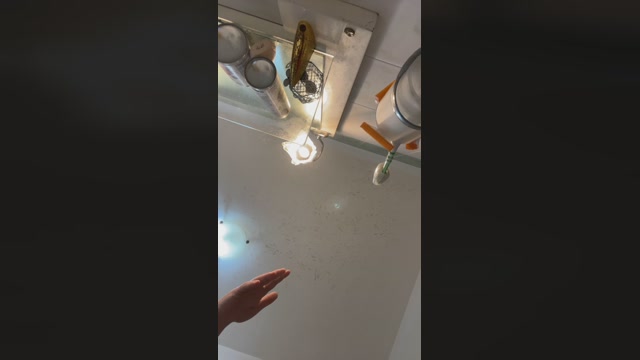 Igor210694  21-12-2022 Recorded Video Topless