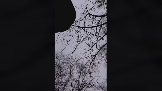 SlutboyBen  21-12-2022 Recorded Video dirty