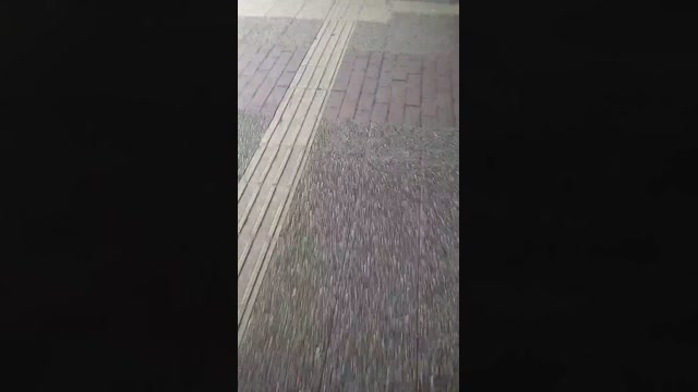 tokyo1130021kaz  21-12-2022 Recorded Video Recorded