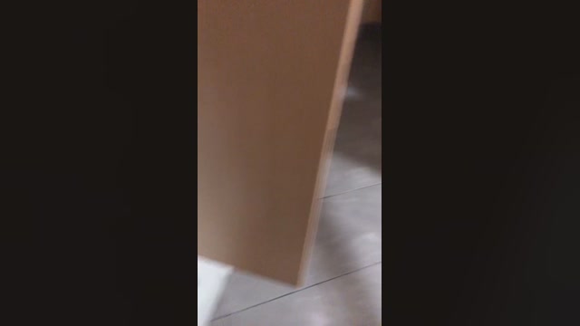Dapehur  21-12-2022 Recorded Video fuckface
