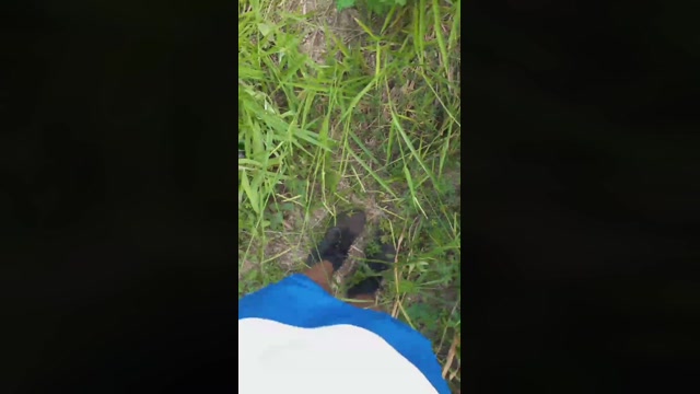 Synbaherrera  21-12-2022 Recorded Video prettyface