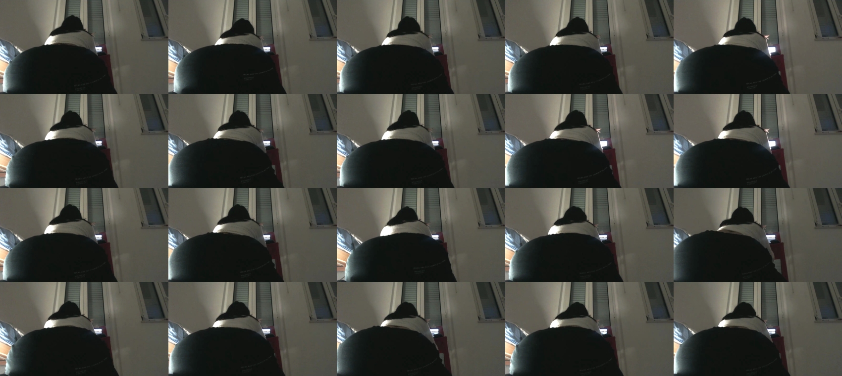 cami___ 21-12-2022 blowjob 