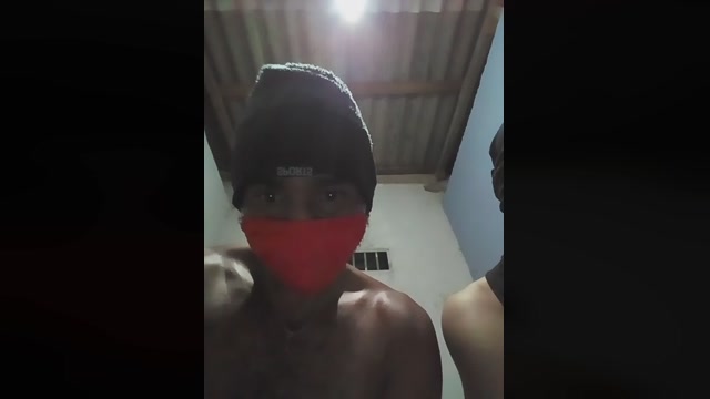 Gatosafad