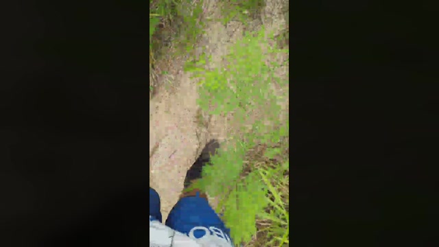 Synbaherrera  22-12-2022 Recorded Video ass