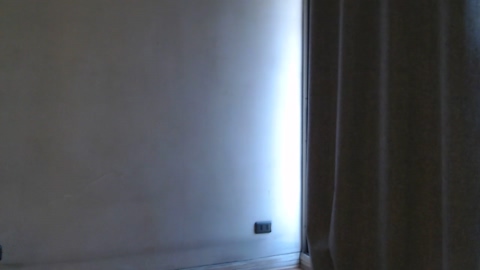 25x6cms  23-12-2022 Recorded Video toys