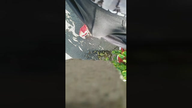 Pabloysebas  23-12-2022 Recorded Video Video