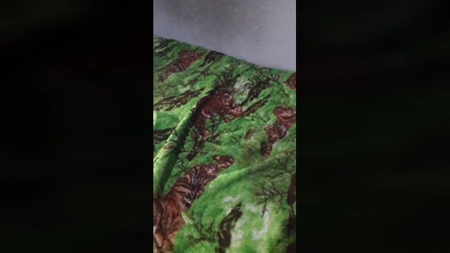 Morenocapixaba8  24-12-2022 Recorded Video kissing