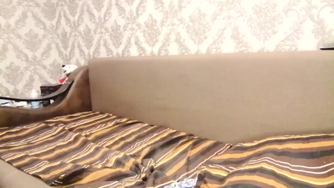 cute_oliver  24-12-2022 video nasty