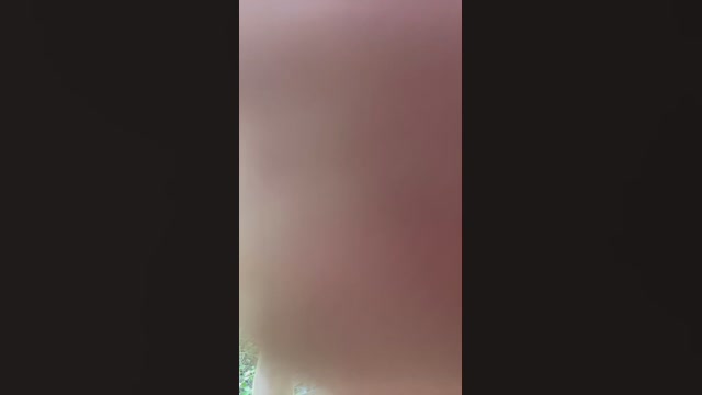 zxcvbnm74383  24-12-2022 Recorded Video suckshow