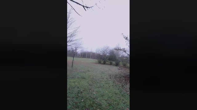 JackFarfallino  26-12-2022 Recorded Video Cam