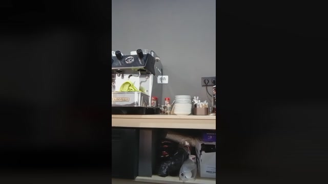 Lazzaro25  26-12-2022 Recorded Video gag