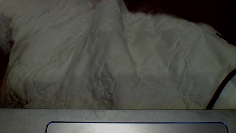 paxmudd  26-12-2022 video naughty