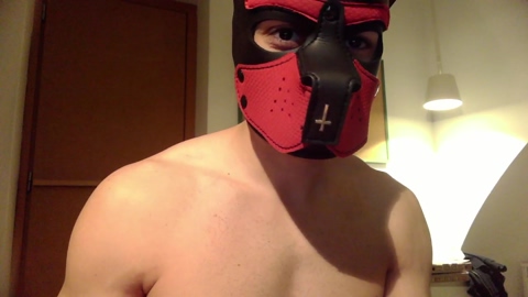 Frabroker  26-12-2022 Recorded Video toys