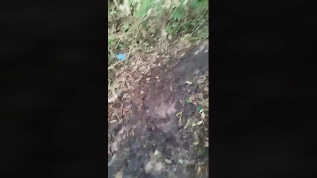 ativofln  26-12-2022 Recorded Video cute