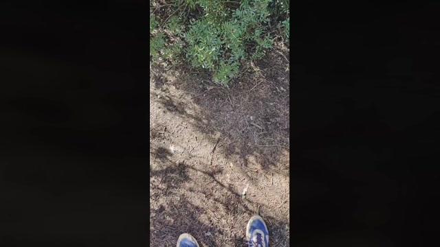 chiclanero26  27-12-2022 Recorded Video fuckass