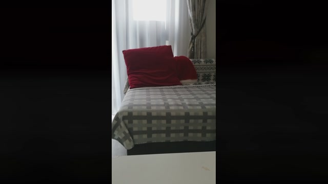 Mario84Luci  28-12-2022 Recorded Video lush