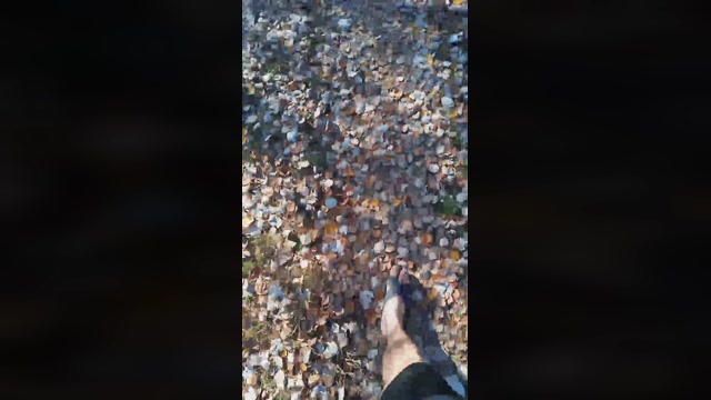 Truck_sex  28-12-2022 Recorded Video juicy