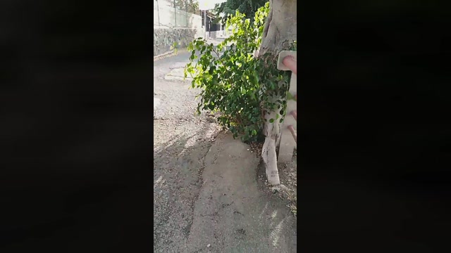 Pabloysebas  28-12-2022 Recorded Video prettyface