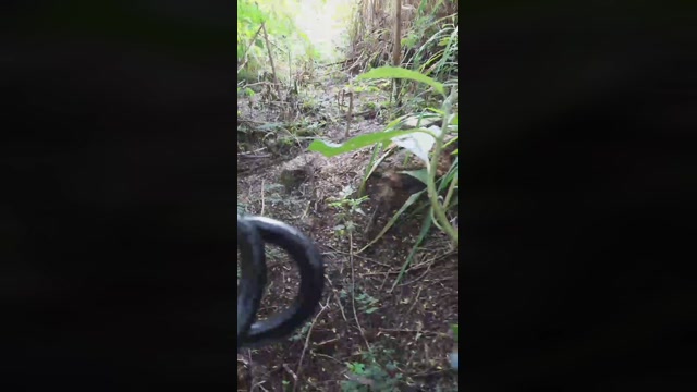 Synbaherrera  28-12-2022 Recorded Video big