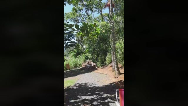 alex_delarge  29-12-2022 Recorded Video big