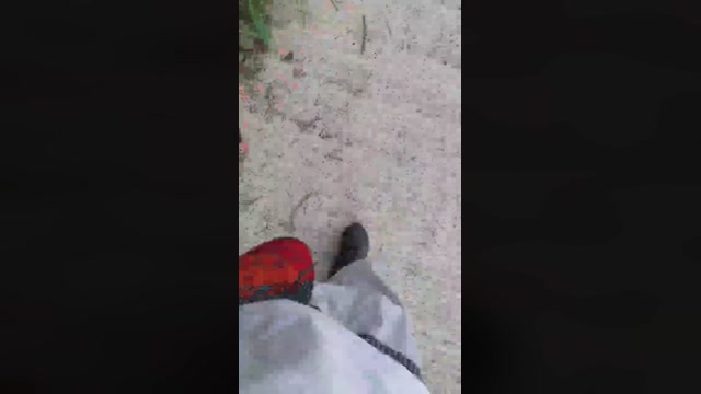 Synbaherrera  30-12-2022 Recorded Video bigload