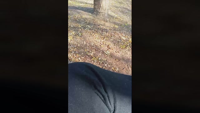 Truck_sex  31-12-2022 Recorded Video bigload