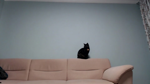 tralalabala  31-12-2022 video Pretty