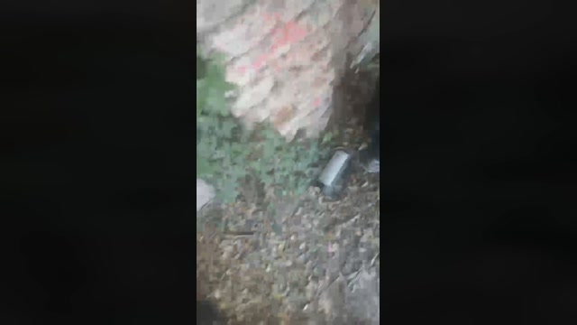 Baby_frasoor  01-01-2023 Recorded Video lick