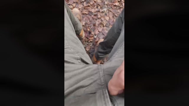 schweizerjan  02-01-2023 Recorded Video kink